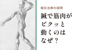 鍼灸治療の疑問｜鍼で筋肉がビクッと動くのはなぜ？
